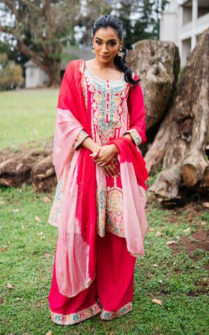 Pink Radiance Anarkali Set